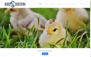 Burnsfeed.com Screenshot 2024-06-12 20:20:05