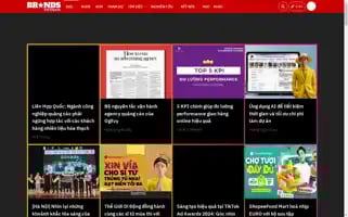 Brandsvietnam.com Screenshot 2024-06-26 11:36:36