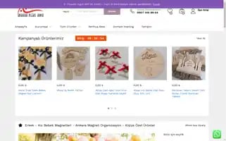 Ankarapleksiayna.com Screenshot 2024-06-17 12:33:11