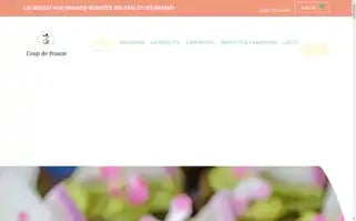 Coup-de-pousse.shop Screenshot 2024-05-26 02:01:03