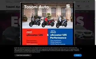 Tosoniauto.it Screenshot 2024-06-17 17:25:56