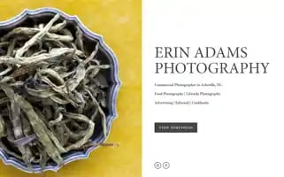 Erinadamsphotography.com Screenshot 2024-07-01 08:55:42