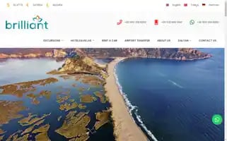 Brillianttours.com.tr Screenshot 2024-04-24 01:45:13