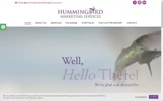 Hummingbirdmarketingservices.com Screenshot 2024-07-02 05:23:10