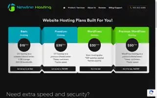 Newlinehost.com Screenshot 2024-07-01 01:34:30