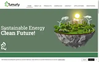 Tumurly.com Screenshot 2024-06-17 13:18:26