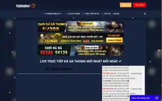 Thomohomnay.tv Screenshot 2024-06-25 01:53:21