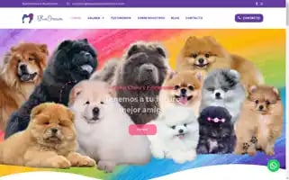 Bluedreamcachorros.com Screenshot 2024-05-17 02:37:05