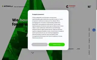 Artneo.pl Screenshot 2024-06-17 15:11:25
