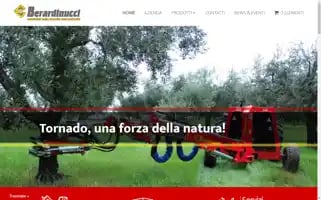 Berardinucci.it Screenshot 2024-06-27 02:27:35