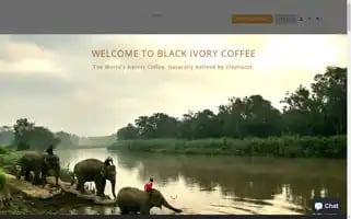 Blackivorycoffee.com Screenshot 2024-05-04 09:41:36