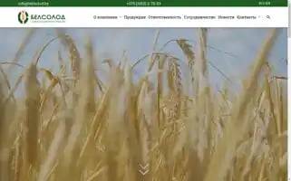 Belsolod.by Screenshot 2024-06-27 00:26:08