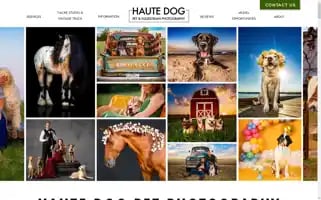 Hautedogpetphotography.com Screenshot 2024-07-02 04:14:09