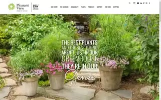 Pwpvg.com Screenshot 2024-06-14 01:23:42