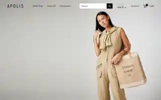 Apolisglobal.com Screenshot 2024-05-04 09:39:36