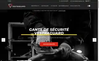 Vestraguard.com Screenshot 2024-05-28 07:46:41