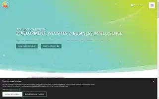 Visionary.com Screenshot 2024-07-07 03:19:16