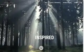 Alphapromotional.com Screenshot 2024-05-15 11:17:31