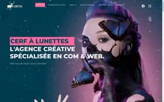 Cerfalunettes.ch Screenshot 2024-06-17 02:00:07