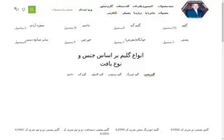 Dr-mehran-department-store.com Screenshot 2024-05-17 07:00:27
