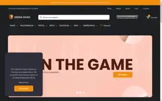 Arenaskins.store Screenshot 2024-05-24 21:04:43