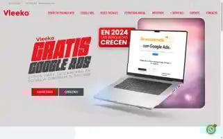 Vleeko.com Screenshot 2024-06-16 01:14:24
