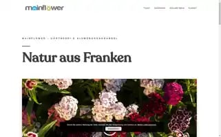Main-flower.de Screenshot 2024-07-01 06:36:04