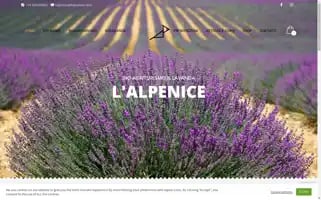 Lalpenice.com Screenshot 2024-05-24 03:20:04