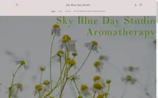Skybluenaturalproductboutique.com Screenshot 2024-04-27 15:04:56