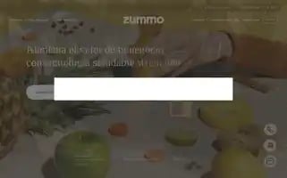 Zummocorp.com Screenshot 2024-06-11 06:51:10