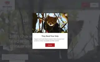 Redpandanetwork.org Screenshot 2024-07-05 00:13:25