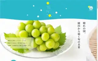 Otento-shop.com Screenshot 2024-05-17 06:35:11