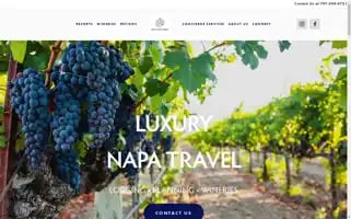 Napatravelagent.com Screenshot 2024-04-15 09:10:00