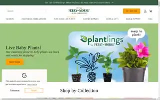 Ferrymorse.com Screenshot 2024-05-04 06:24:05