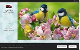 Captour-paja.cz Screenshot 2024-04-18 16:02:25
