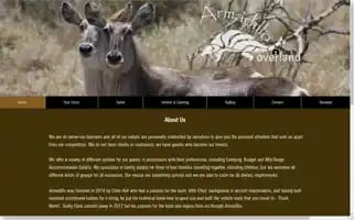 Armadillo-overland-tours.com Screenshot 2024-04-26 00:02:53