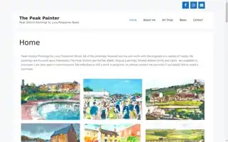 Peakpainter.com Screenshot 2024-05-18 22:42:13