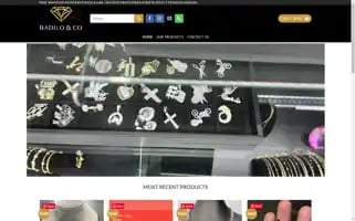 Badiloandco.com Screenshot 2024-05-18 18:50:55