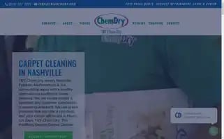 Tntchemdry.com Screenshot 2024-05-14 13:13:25