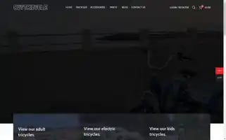 Buytricycle.com Screenshot 2024-06-12 19:23:16