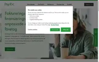 Payex.se Screenshot 2024-07-02 12:33:54