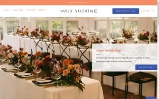 Wildvalentine.co Screenshot 2024-07-01 11:24:54