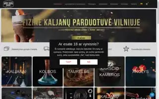 Hookahshop.lt Screenshot 2024-06-16 15:11:27