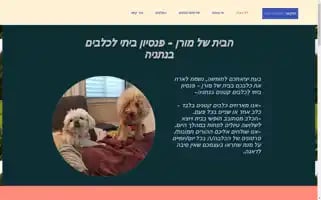Dogshotelnetanya.com Screenshot 2024-04-14 11:32:17