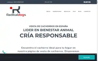 Radikaldogs.com Screenshot 2024-06-27 13:53:30
