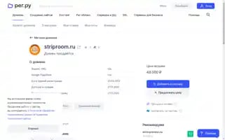 Striproom.ru Screenshot 2024-04-17 15:20:39