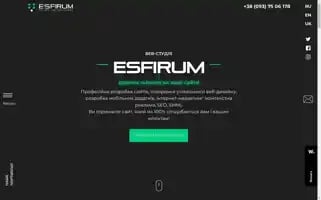 Esfirum.com Screenshot 2024-06-18 15:59:41