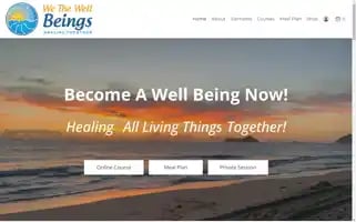 Wethewellbeings.com Screenshot 2024-05-24 17:39:51