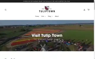 Tuliptown.com Screenshot 2024-05-04 19:18:36