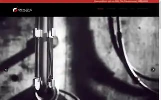 Nafpliotiselectron.com Screenshot 2024-05-20 00:00:41